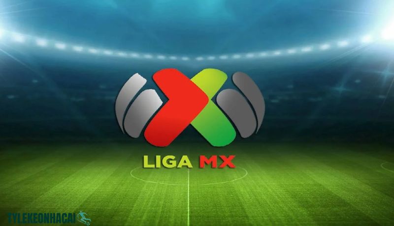 Khi bóng đá trở thành một phần linh hồn của Mexico Khi bóng đá trở thành một phần linh hồn của Mexico