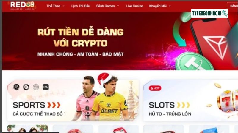 Sảnh thể thao cực chất