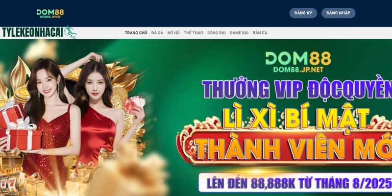 DOM88 gây ấn tượng mạnh mẽ với khách hàng ngay từ lần truy cập đầu tiên