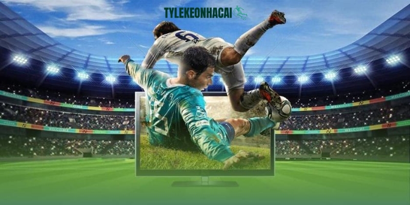 Livescore là gì mà lại được ưa chuộng đến vậy? Livescore là gì mà lại được ưa chuộng đến vậy?