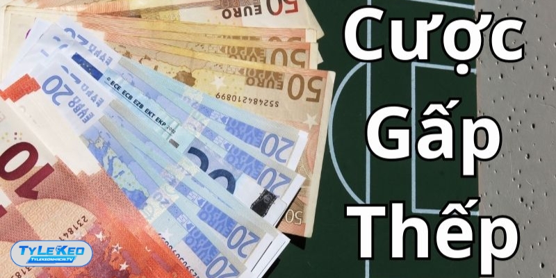 Một số yếu tố quan trọng khi đánh gấp thếp không nên bỏ qua Một số yếu tố quan trọng khi đánh gấp thếp không nên bỏ qua